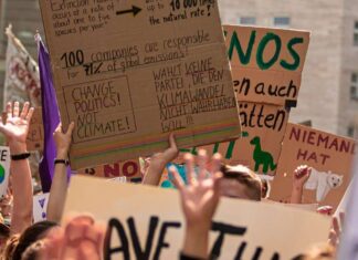 Symbolbild: Fridays For Future