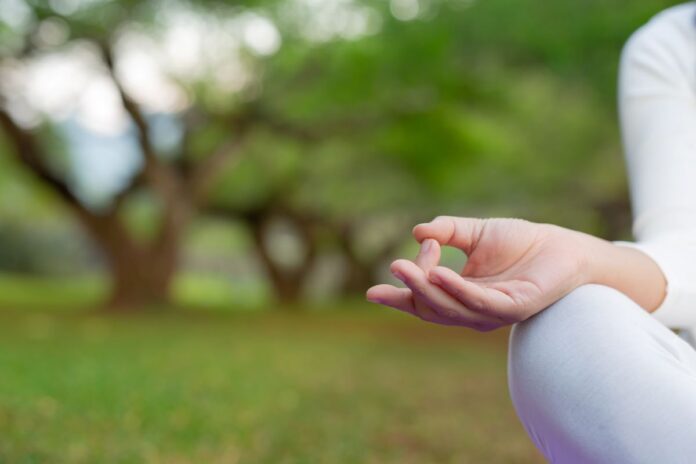 (Symbolbild) Sport im Park (Symbolbild) Yoga im Park