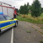 Alkohol am Steuer: Auto landet im Graben einer Landstraße in Melle bei Osnabrück