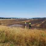 Feuer auf Stoppelfeld bedroht Bauernhof und Wald in Belm