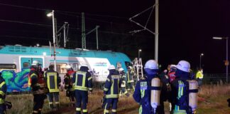 Automatisch gespeicherter Entwurf