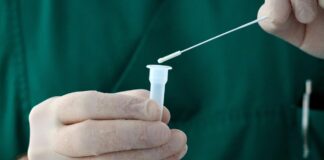 Automatisch gespeicherter Entwurf