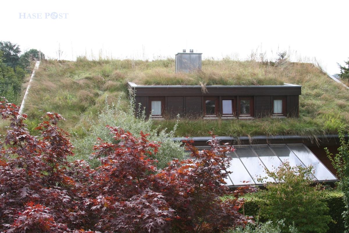 Schon beim Erwerb des Grundstücks im Jahr 1986 war es der Wunsch von Familie Neumann durch eine Dachbegrünung die versiegelte Fläche zu kompensieren. / Foto: Hannelore Neumann