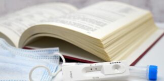 Automatisch gespeicherter Entwurf