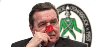 Gerhard Schröder als Narr