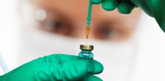 Automatisch gespeicherter Entwurf