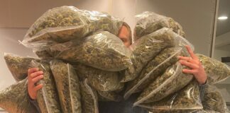 Fund der Niederländischen Polizei: 25 Kilogramm Marihuana / Foto: Polizei Osnabrück