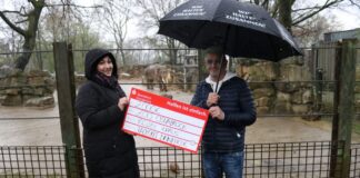 Die Spende für „Rüssel voraus!“ zugunsten eines größeren Elefantenparks nimmt John McGurk, dankend von Wiebke Schwegmann, entgegen. / Foto: Zoo Osnabrück (Lisa Simon)