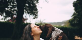 Hund und Mensch: beste Freunde