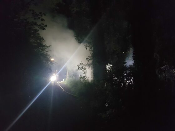 Feuer im Wald, Rauchwolke in Osnabrück-Sonnenhügel