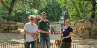Zum Schutz asiatischer Elefanten: Zoo Osnabrück und WWF gründen „Team Elefant“