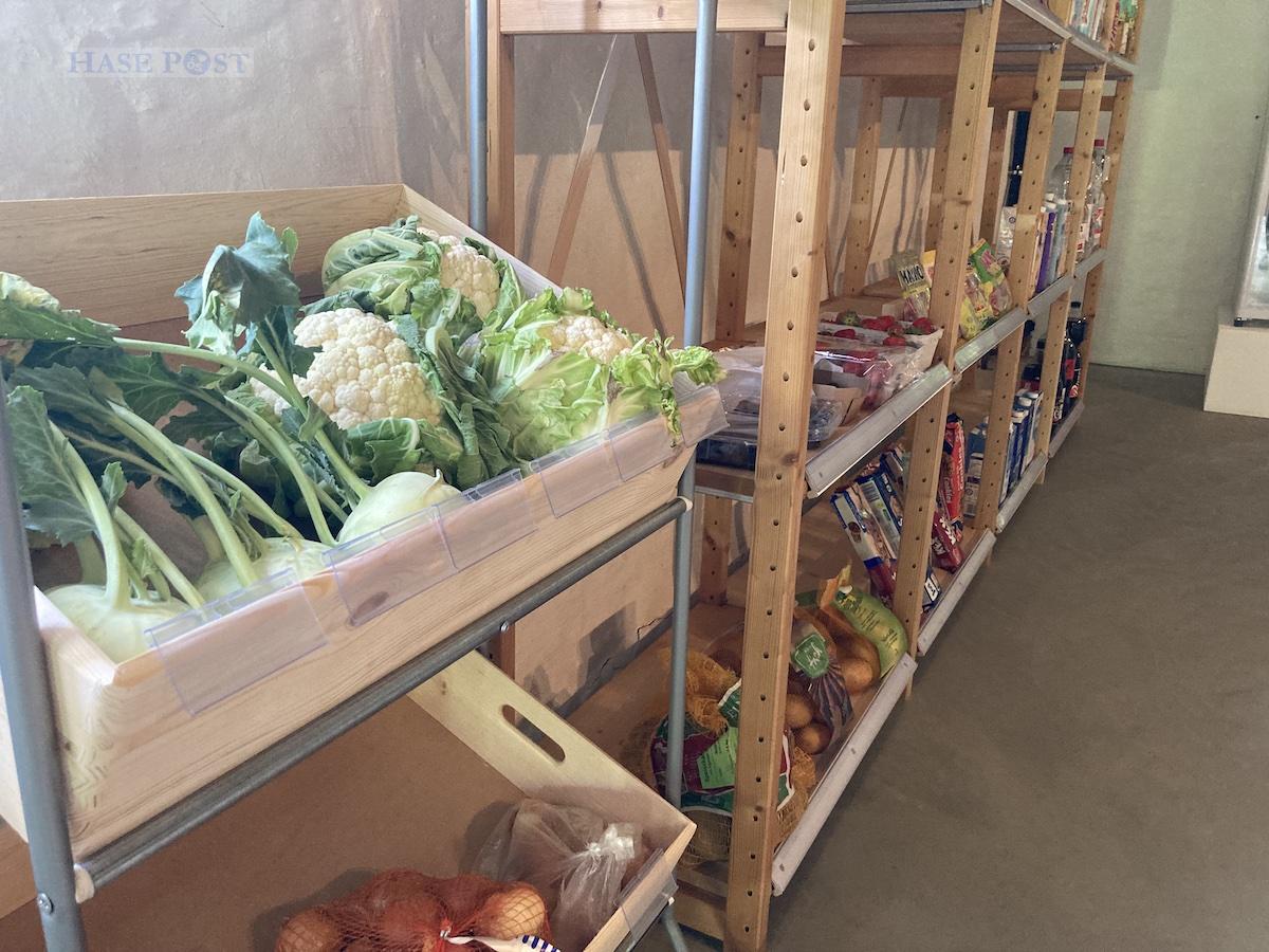 Von Gemüse bis zur Tiefkühlpizza: Es soll ein realistischer Einkauf werden. / Foto: Schulte