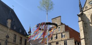Maibaum vor dem Osnabrücker Rathaus