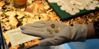 Münzen aus dem 14. Jahrhundert, die Teil des Funds im Börsteler Wald sind. / Foto: Landkreis Osnabrück / Henning Müller-Detert