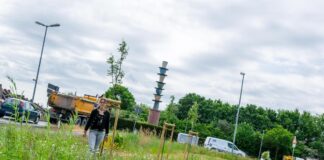 Wallenhorsts Umweltbeauftragte Isabella Markfort erkundet die Blühfläche am Tassenkreisel, die in den vergangenen zwei Jahren aufgebaut wurde.