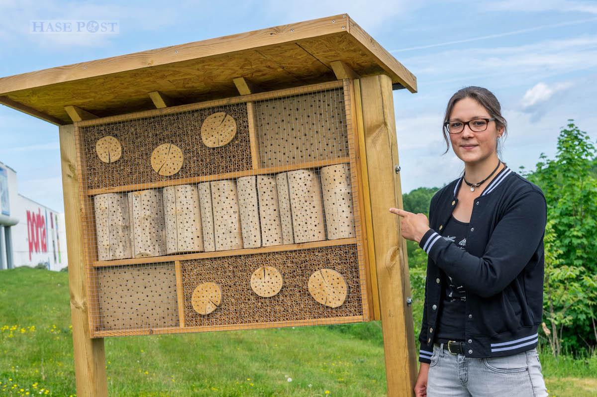 Isabella Markfort zeigt die Wildbienennisthilfe, die zahlreiche Nisthöhlen für die Insekten bietet.