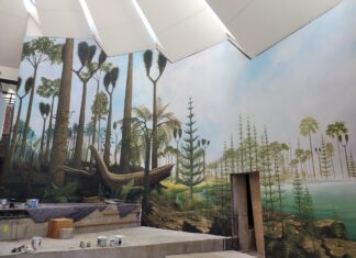 Urwald aus vergangenen Zeiten: So sah die Umgebung des heutigen Piesbergs vor 307 Millionen Jahren aus. / Foto: Imke Pieper