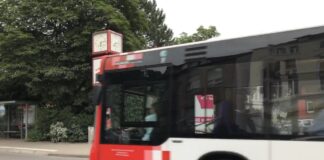 Symbolbild: Bus