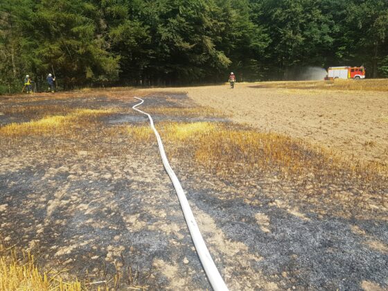 Großalarm: Feld brennt, Feuerwehr kann Waldbrand gerade noch verhindern