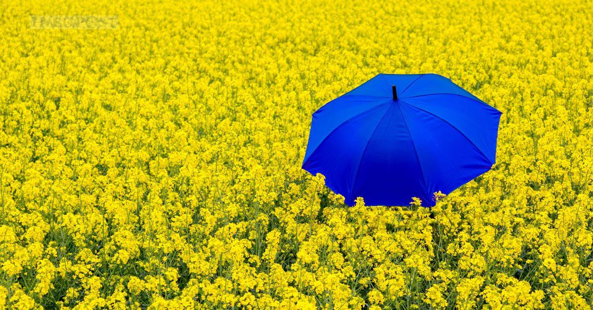 Im Hinblick auf die Ukraine-Krise soll das Bild "Blau Gelb" Hoffnung machen. / Foto: Dieter J. Reinhard