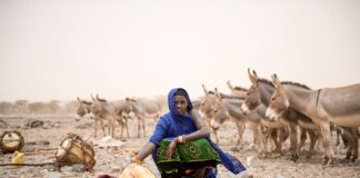 Dürre bedroht viele Menschen in Ostafrika, wie hier in Kenia. / Foto: Caritas international