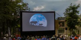 Open-Air-Kino im Zoo Osnabrück