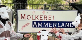 Demonstration bei der Molkerei Ammerland (Screenshot, Instagram Animal Rebellion)