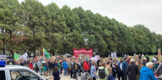 Nicht mehr ganz so voll wie im letzten Jahr: Deutlich weniger Demonstrantinnen und Demonstranten im Schlossgartenbeim Globalen Klimastreik 2023. /Foto: Köster