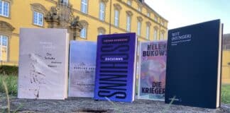 Diese fünf Bücher werden auf der LiteraTour in Osnabrück präsentiert. / Foto: Schulte