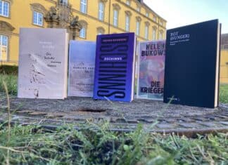 Diese fünf Bücher werden auf der LiteraTour in Osnabrück präsentiert. / Foto: Schulte