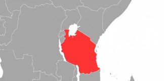 Tansania: Passagierflugzeug stürzt in Victoriasee