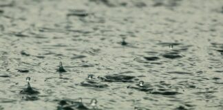 (Symbolbild) Regen
