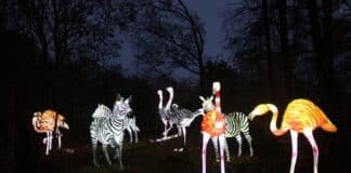 Während des „Magischen Weihnachtszaubers“ im Zoo Osnabrück flankieren die leuchtenden Tierfiguren der „Zoo-Lights“ die Wege. / Foto: Zoo Osnabrück (Hanna Räckers)