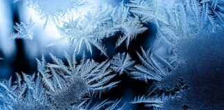 Frost (Symbolbild)