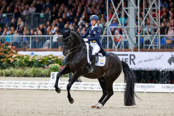 Therese Nilshagen (SWE) und Dante Weltino OLD sind eines der Aushängepaare Schwedens und Zuschauerlieblinge bei Horses & Dreams in Hagen a.T.W. / Foto: Stefan Lafrentz Therese Nilshagen (SWE) und Dante Weltino OLD sind eines der Aushängepaare Schwedens und Zuschauerlieblinge bei Horses & Dreams in Hagen a.T.W. / Foto: Stefan Lafrentz