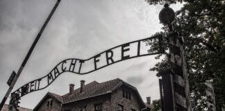 Auschwitz (Symbolbild)