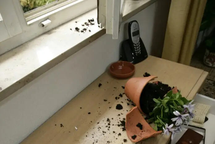 (Symbolfoto) Einbruch