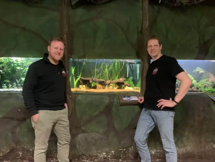 Zoologischer Leiter Tobias Klumpe (links) und Stefan Bramkamp, Revierleiter Tetra-Aquarium, vor dem Becken der Andersons Querzahnmolche im Osnabrücker Zoo / Foto: Emrich Zoologischer Leiter Tobias Klumpe (links) und Stefan Bramkamp, Revierleiter Tetra-Aquarium, vor dem Becken der Andersons Querzahnmolche im Osnabrücker Zoo / Foto: Emrich