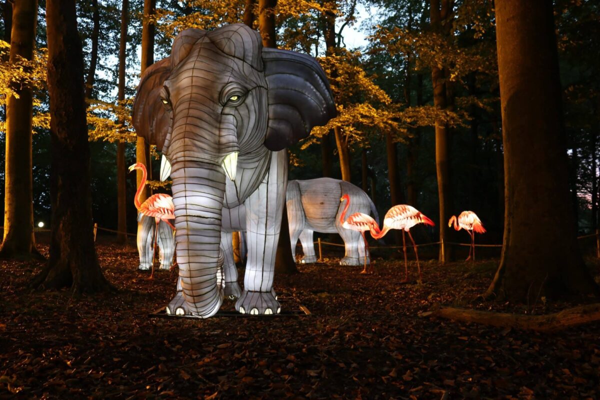 Das Aktionswochenende im Zoo Osnabrück wird als Auftakt der Zoo-Lights im Frühjahr genutzt. Bis Ostern können die Besucher wöchentlich die leuchtenden Tierfiguren erleben. / Foto: Zoo Osnabrück