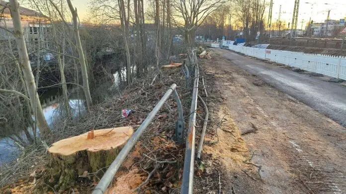 Kahlschlag an der Hamburger Straße / Foto: Nebst