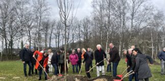 15 neue Bäume für die Dodesheide: Alle Spendenden packen mit an. / Foto: Hirsch