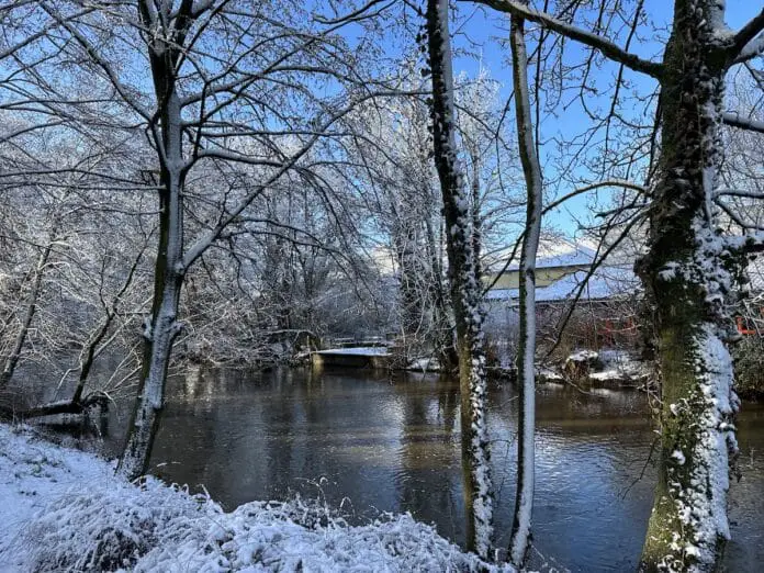 Symbolbild: Hase im Winter
