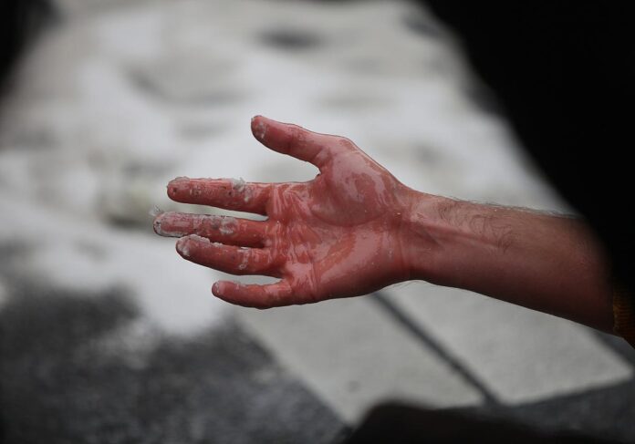 Hofreiter sieht keine Konkurrenz durch “Letzte Generation”-Partei