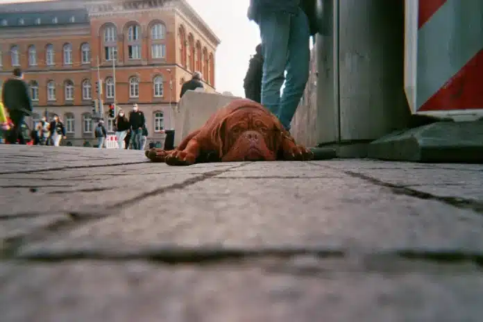 Projekt Einblicke durch Einwegkameras. / Foto: Stigma e.V.