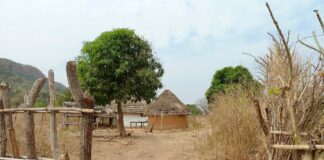 Hütte im Senegal (Symbolfoto)