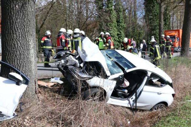 PKW kracht ungebremst vor Baum in Bissendorf, Fahrer schwer verletzt