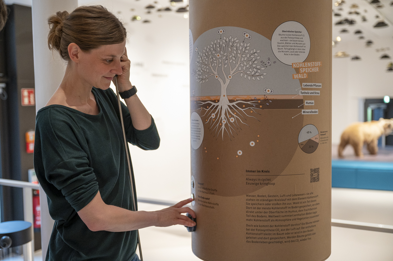 Das Pilztelefon symbolisiert die Kommunikation von Bäumen über ein unterirdisches Pilz-Netzwerk. / Foto: Angela von Brill