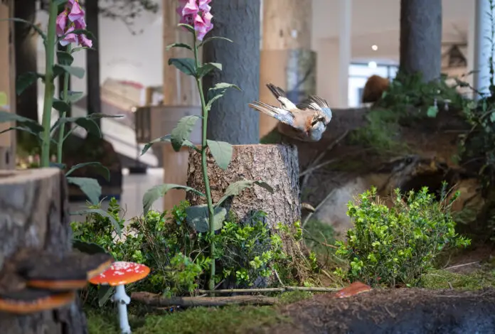 In der Ausstellung sind mehr als 700 Exponate zu sehen. / Foto: Angela von Brill