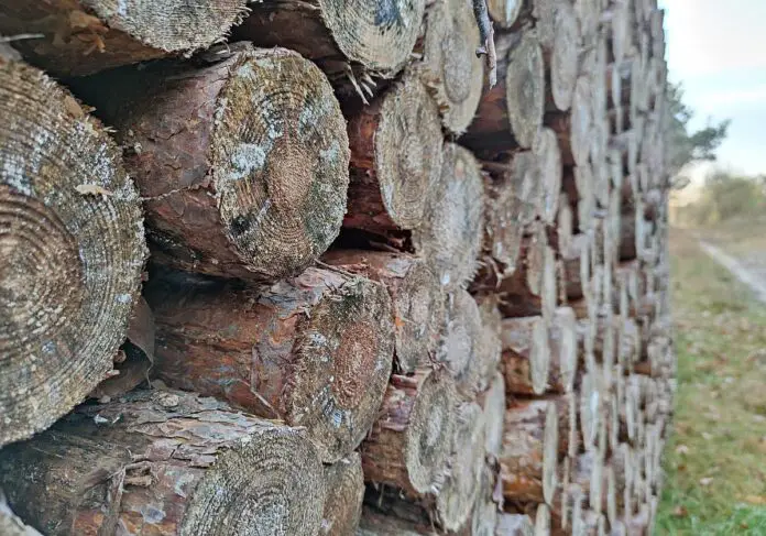 Forstwirtschaft kritisiert Verbot reiner Holzheizungen Forstwirtschaft kritisiert Verbot reiner Holzheizungen