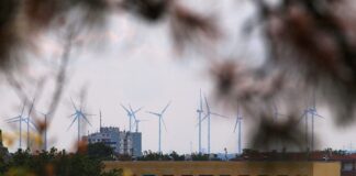 Habeck will mit Anreizen für Bürger Windkraftausbau beschleunigen